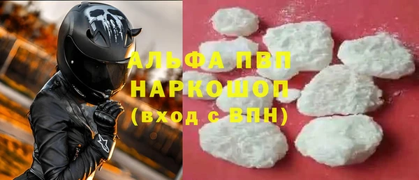шишки Аркадак