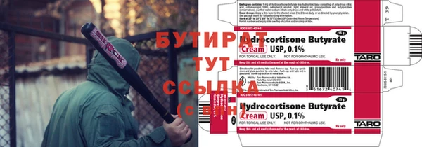 шишки Аркадак