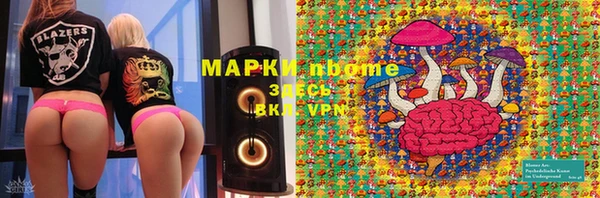 шишки Аркадак