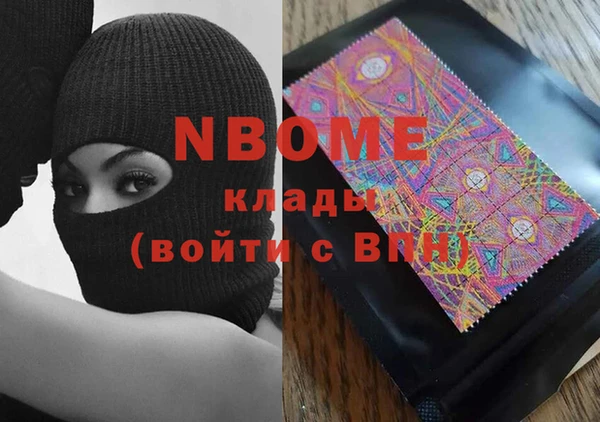 шишки Аркадак