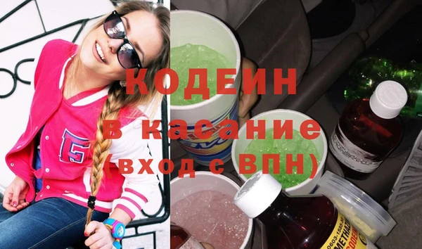 шишки Аркадак