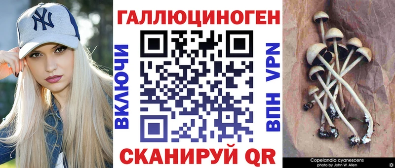 Псилоцибиновые грибы GOLDEN TEACHER  Островной 